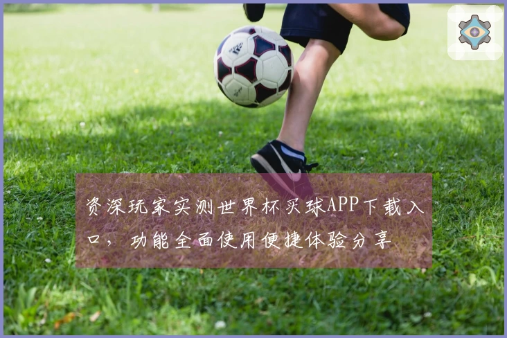 资深玩家实测世界杯买球APP下载入口,功能全面使用便捷体验分享
