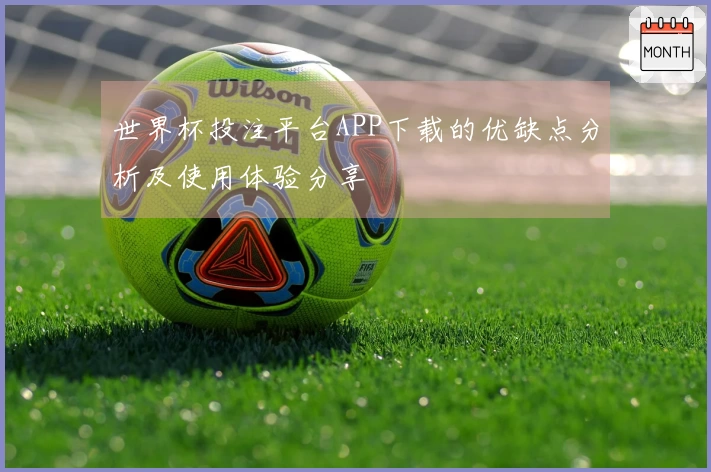 世界杯投注平台APP下载的优缺点分析及使用体验分享