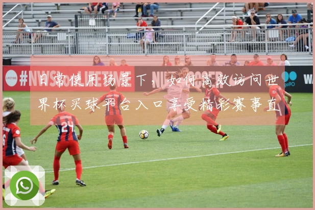 日常使用场景下，如何高效访问世界杯买球平台入口享受精彩赛事直播