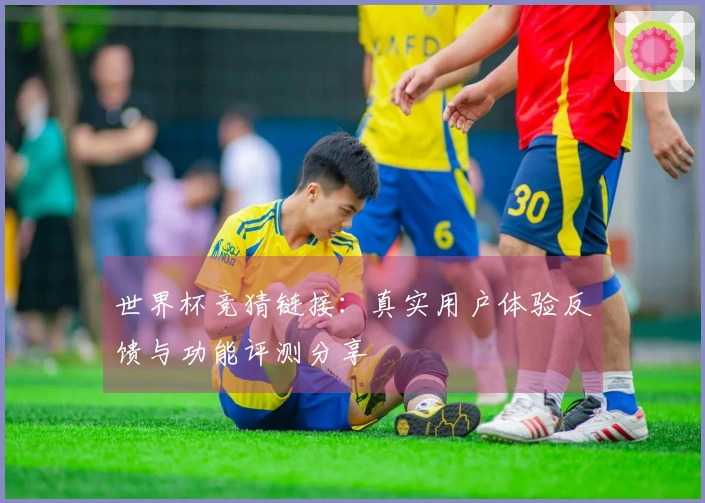 世界杯竞猜链接：真实用户体验反馈与功能评测分享