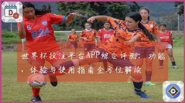 世界杯投注平台APP综合评测：功能、体验与使用指南全方位解读