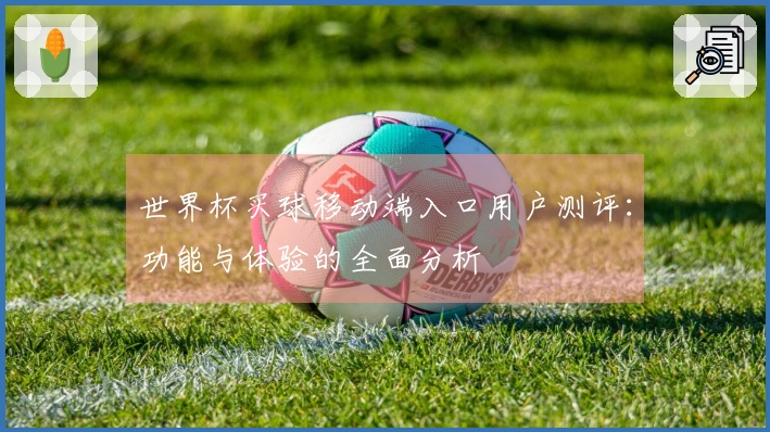 世界杯买球移动端入口用户测评：功能与体验的全面分析