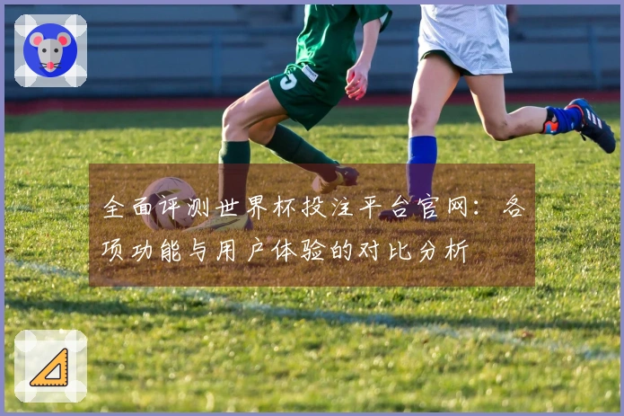 全面评测世界杯投注平台官网：各项功能与用户体验的对比分析