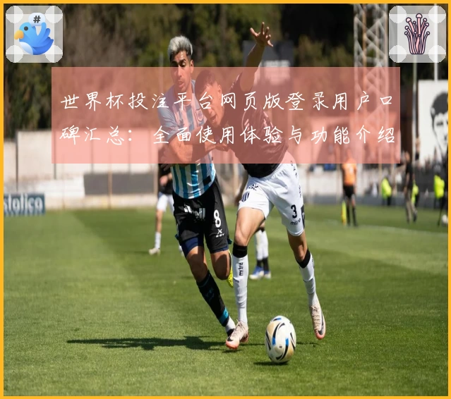 世界杯投注平台网页版登录用户口碑汇总:全面使用体验与功能介绍尽在此处