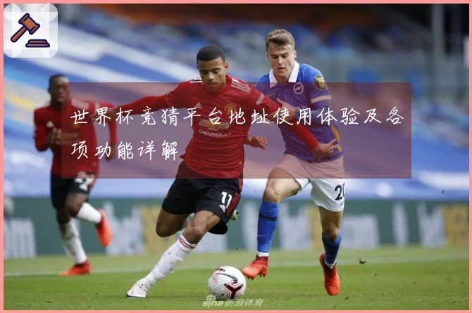 世界杯竞猜平台地址使用体验及各项功能详解