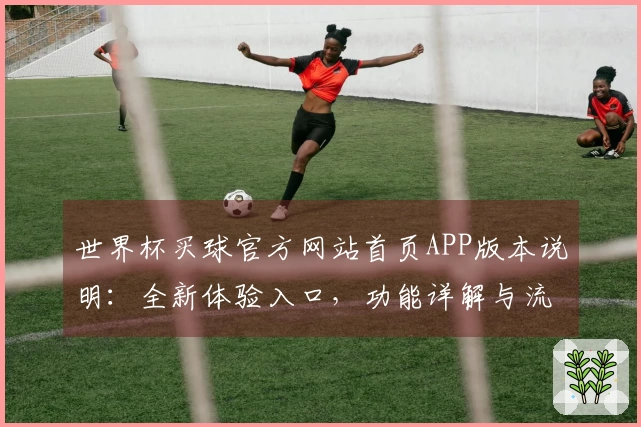 世界杯买球官方网站首页APP版本说明:全新体验入口,功能详解与流畅操作指引