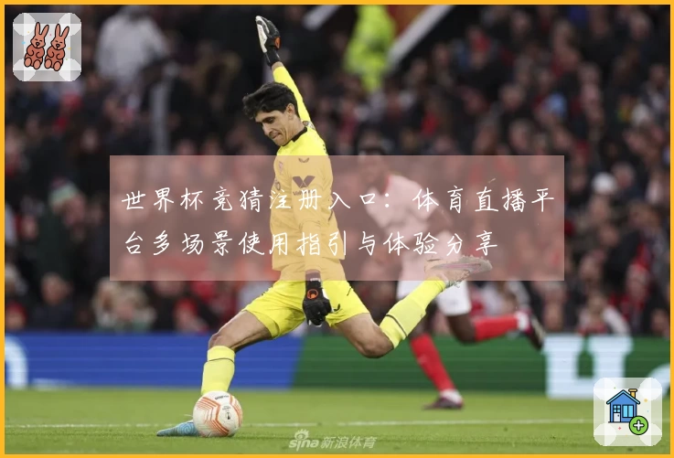 世界杯竞猜注册入口：体育直播平台多场景使用指引与体验分享