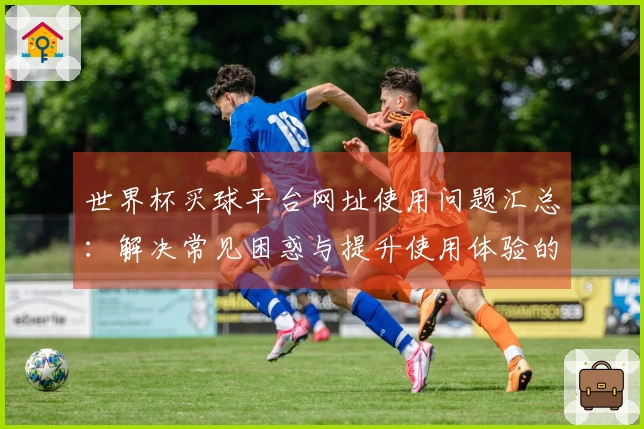 世界杯买球平台网址使用问题汇总：解决常见困惑与提升使用体验的实用指南