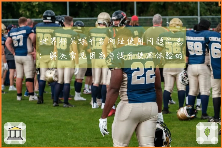 世界杯买球平台网址使用问题汇总：解决常见困惑与提升使用体验的实用指南