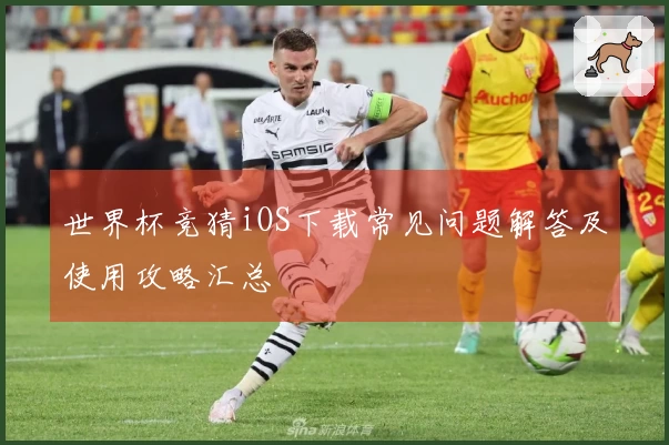 世界杯竞猜iOS下载常见问题解答及使用攻略汇总